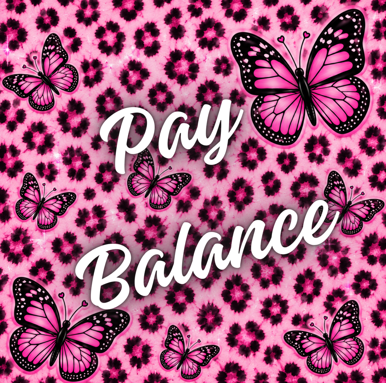 Pay Balance