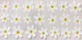 F68